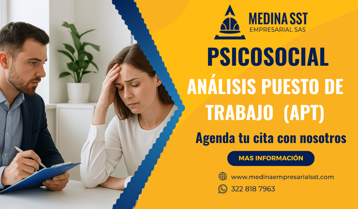 Evaluación ergonómica en empresa por análisis de puesto de trabajo profesional
